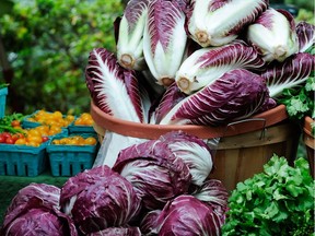 Shredded into a salad, radicchio enhances its visual appeal and lends interesting tart flavour notes.