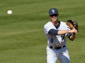 Prince George's Jared Young, a second baseman with the Old Dominion Monarchs, was drafted in the 15th round.