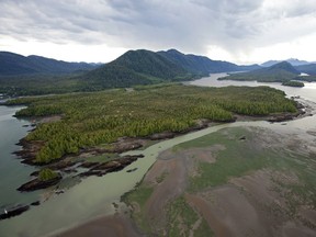 Flora Bank, off of Lelu Island, is where the $12-billion Pacific Northwest LNG project was proposed to be built.