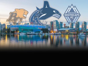 The Vancouver Canucks dominate the local sports landscape, despite the successes of the Lions and Whitecaps.