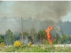 A rolling railroad car sparked this Burnaby brush fire, one of a series of fires that broke out between New Westminster and Vancouver in 2005.