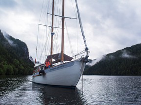 In addition to offering cruises throughout British Columbia, Outer Shores Expeditions also sends its six-guest Passing Cloud to the remote Great Bear Rainforest.