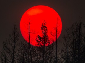 A body pulled from a settling pond at a pulp mill in British Columbia's southern Interior has been identified as that of a 67-year-old man who went missing after he was driven from his home by wildfires last summer. The sun is obscured by smoke from wildfires in the distance behind burnt trees in Williams Lake, B.C., on Sunday, July 30, 2017. There are currently 151 wildfires burning and according to the B.C. Wildfire service more than 4,200 square kilometres have burned since April 1. Prime Minister Justin Trudeau is to visit areas affected by wildfires Monday. THE CANADIAN PRESS/Darryl Dyck ORG XMIT: VCRD128