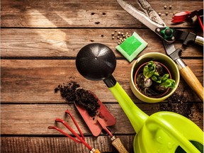 Gardening tools on vintage wooden table - spring

For Barbara Gunn Helen Chesnut stories [PNG Merlin Archive]

Not Released (NR)
Getty Images, PNG