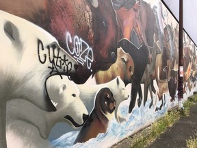 Vancouver resident Edward Rogers was upset to see that someone tagged a mural in the 2100-block East Hastings, the second mural defaced in this location.