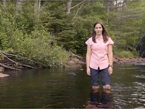 The Canadian Wildlife Federation has released a new set of three videos starring the Pacific salmon in the memorable style of Hinterland Who's Who.