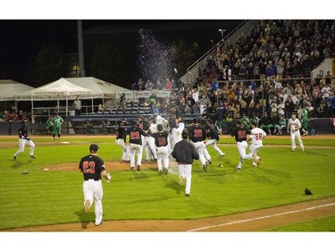 The Vancouver Canadians celebrate after their win against the Eugene Emeralds in the Northwest League series.