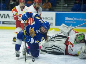 UBC Thunderbirds' Mathea Fischer in hockey action against the Chinese national team, Oct. 21, 2016. UBC won 4-1. [PNG Merlin Archive]
UBC Athletics, PNG