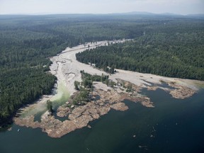 Contents from a tailings pond is pictured going down the Hazeltine Creek into Quesnel Lake near the town of Likely, B.C. on August, 5, 2014.