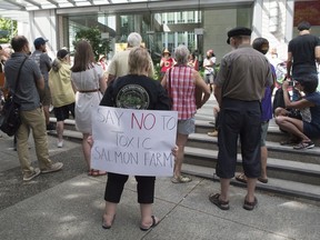 Protesters stand outside the Fisheries and Oceans office in downtown Vancouver on Aug. 23, 2017 to rally against fish farms and to bring attention to the protection of the salmon population.
