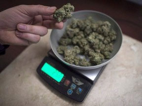 Marijuana is weighed at a medical marijuana dispensary, in Vancouver, Wednesday, Feb. 5, 2015.