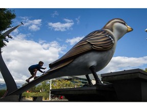 The giant sparrows are very popular at the Olympic Village in Vancouver.
