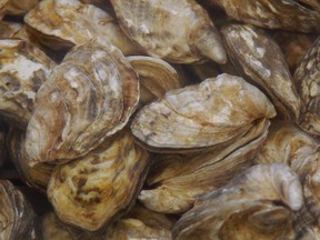 Federal health officials say some farm-raised Pacific oysters are being recalled due to a marine biotoxin which causes paralytic shellfish poisoning.