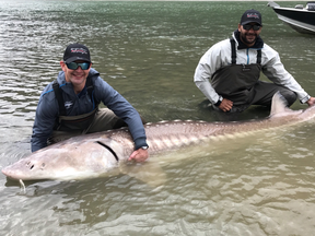 Matt Hendricks and Dustin Byfuglien show off the sturgeon they snagged on the Fraser this week.