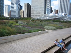 Shannon Nichol, Kathryn Gustafson, and Jennifer Guthrie co-designed the Lurie Garden at Millennium Park in Chicago, IL, in collaboration with the perennial plantsman Piet Oudolf.