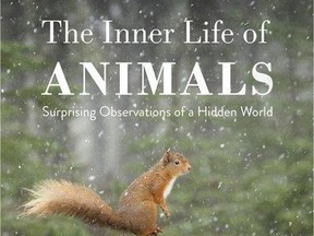 The Inner Life of Animals: Love, Grief and Compassion - Surprising Observations of a Hidden World -- Peter Wohlleben