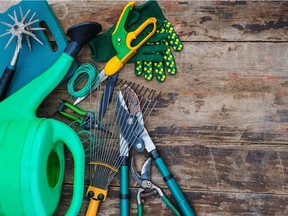 garden tools

For Barbara Gunn Helen Chesnut stories [PNG Merlin Archive]

Not Released (NR)
Getty Images, PNG