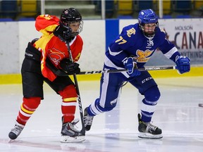 Brielle (Brie) Bellerive transferred home from Clarkson University to play for the UBC Thunderbirds.