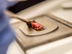 A PhD candidate in UBC's ‚faculty of land and food systems and she has helped develop a new technique for identifying unwanted animal parts in ground beef.