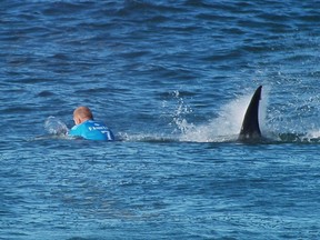 In this image made available by the World Surf League, Australian surfer Mick Flanning is pursued by a shark, in Jeffrey's Bay, South Africa, Sunday, July 19, 2015.
