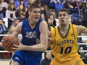 UBC Thunderbirds' Conor Morgan, left, drives past Brody Clarke of the Alberta Golden Bears during action at War Memorial Gym.