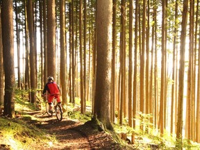 Abbotsford, B.C. - Trail users are opposing a proposed gravel mine on Sumas Mountain in Abbotsford.