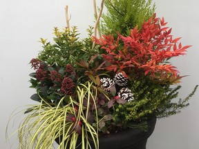 By making the right choices for colour and hardiness, you’ll be surprised how great winter planters can look, adding life and vibrancy to any patio and balcony.