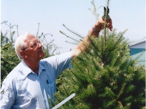 Arthur Loewen, president of the Southwest B.C. Christmas Tree Association and treasurer of the B.C. Christmas Tree Association.
