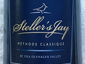 Steller's Jay 2014 Mountain Jay Brut, British Columbia.