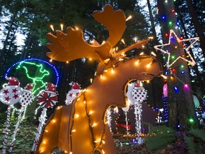 Christmas decorations donated by Perry and Paula Balascak, including two 3-D moose that started their collection 20 years ago, are now part of the Bright Nights display at Stanley Park.
