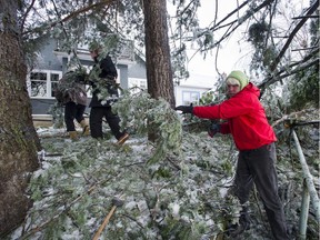 Martin, Claire and Cindy Kelly clear debris from their front yard in Mission, BC Saturday, December 30, 2017. Freezing rain for the past several days caused tree branches to fall on power lines causing power outages, and trees to topple in Mission, BC, Saturday, December 30, 2017. Thousands of people are without power in the Mission, Abbotsford and Langley areas and the freezing rain has made traveling treacherous.