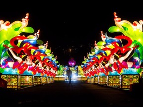 A woman is silhouetted while walking through rows of lanterns during the opening night of the Vancouver Chinese Lantern Festival.