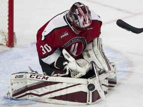 North Vancouver's David Tendeck is third in the WHL in goals against average (2.93) and fifth in save percentage (.911) this season, backstopping the Vancouver Giants to the playoffs for the first time in four years.