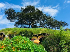 Hobbiton is just one of many reasons to visit New Zealand.