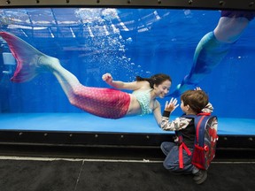 VANCOUVER. February 24 2018. Wearing a mermaid tails, Hanna Waite ( red tail ) and her sister Riley Waite ( blue Tail ) swim in a 40 ft Modpool greeting visitors to the BC Home + Garden show,
