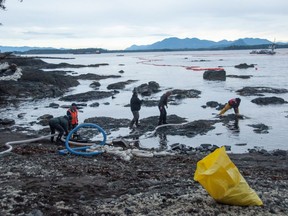 People clean up the shoreline near where the tugboat Nathan E. Stewart ran aground near Bella Bella.