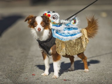 Thousands of people turned out for the Chinese Lunar New Year Parade, Year of the Dog, in Chinatown, Vancouver, BC,  February 18, 2018.