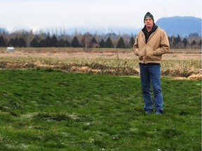 Dairy farmer Arnold Wieners in action at Winners Holstein Farms Ltd. in Surrey, BC., February 21, 2018.