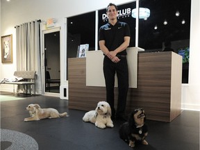 Jason Meyer, who has opened a dog lounge for small dogs where they can play while owners have tea and coffee, plays with the canines in Richmond on Sunday. He’s planning a singles night for early March for small dogs and their owners.