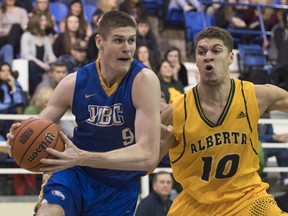 UBC Thunderbirds' Conor Morgan (left), the nation's leading scorer, drives past Brody Clarke of the Alberta Golden Bears during weekend action at War Memorial Gymnasium.