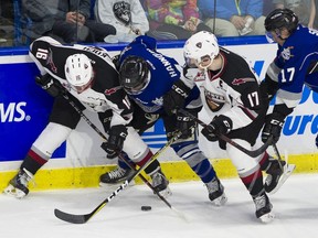 Vancouver Giants Davis Koch (16) and Tyler Benson (17) tangle with Dante Hannoun and Tyler Soy (17, in blue) in the first period. Soy would net a hat trick in his return from injury.