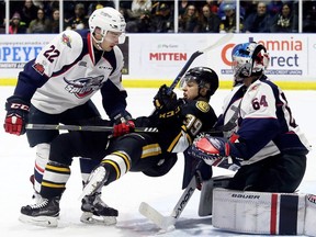 Canucks goalie prospect Mike DiPietro has been a star so far in net for the Windsor Spitfires in the OHL playoffs.