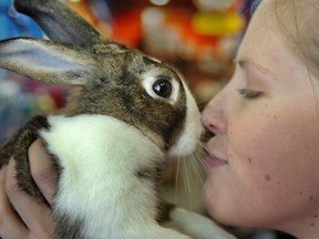 Animal advocates are applauding Surrey's move to ban the sales of dogs, cats and rabbits in pet stores.