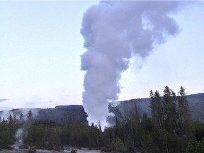 In this July 31, 2013 file photo, Steamboat Geyser, in Yellowstone National Park's Norris Geyser Basin in Wyoming, erupts.  Yellowstone National Park has reported a series of potential eruptions from the world's largest active geyser for the first time since 2014. Park officials said employees reported seeing an eruption at the Steamboat Geyser in northwest Wyoming Thursday, March 15, 2018.