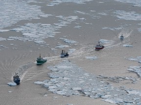 Seal hunting boats sail through the water March 29, 2008 in the Gulf of Saint Lawrence.