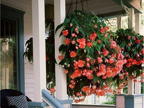 EDMONTON  AUG 28/97-- HANGING BASKETS AND POTTED PLANTS BRIGHTEN PORCH