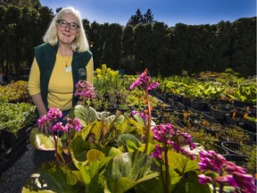 Margie Knox, spokeswoman for the 40th annual VanDusen Botanical Garden Plant Sale on Sunday, is surrounded by plants on April 25 at VanDusen.