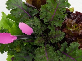 Container gardens, with an attractive blend of tasty edibles, make wonderful gifts for anyone who loves to cook.