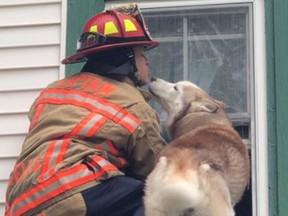 Wells Maine Police shared this photo on Facebook of a firefigher helping a dog that was trapped on the roof of a home. (Wells Maine Police/Facebook)