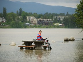 11-year-old Anton Asipenka sits on a partially submerged picnic table as the Fraser River continues to rise at Derby Reach Park in Langley, where the campsite is closed due to flooding.